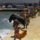 herido grave bous a la mar Denia