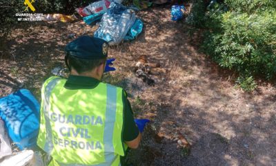 detenido abandono podencos