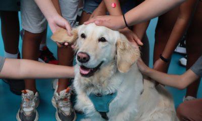 perros de terapia niños afectados dana