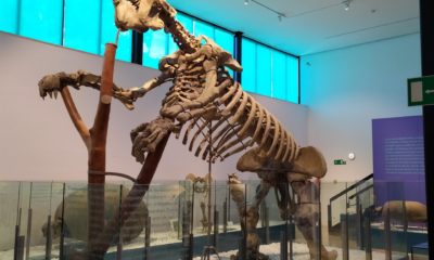 Museo de Ciencias Naturales de València