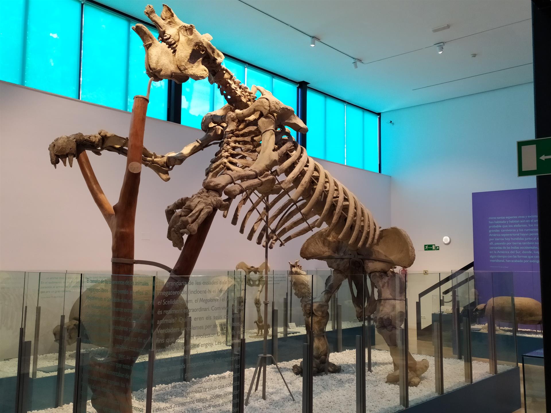 Museo de Ciencias Naturales de València