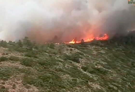 incendio Teresa Cofrentes