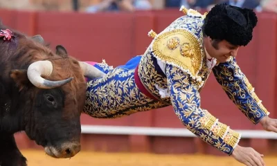 Morante de la Puebla