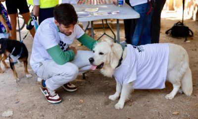 acceso animales edificios públicos València