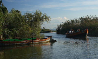 pescador herido cable alta tensión Albufera