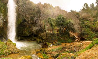 desaparecido Navarrés