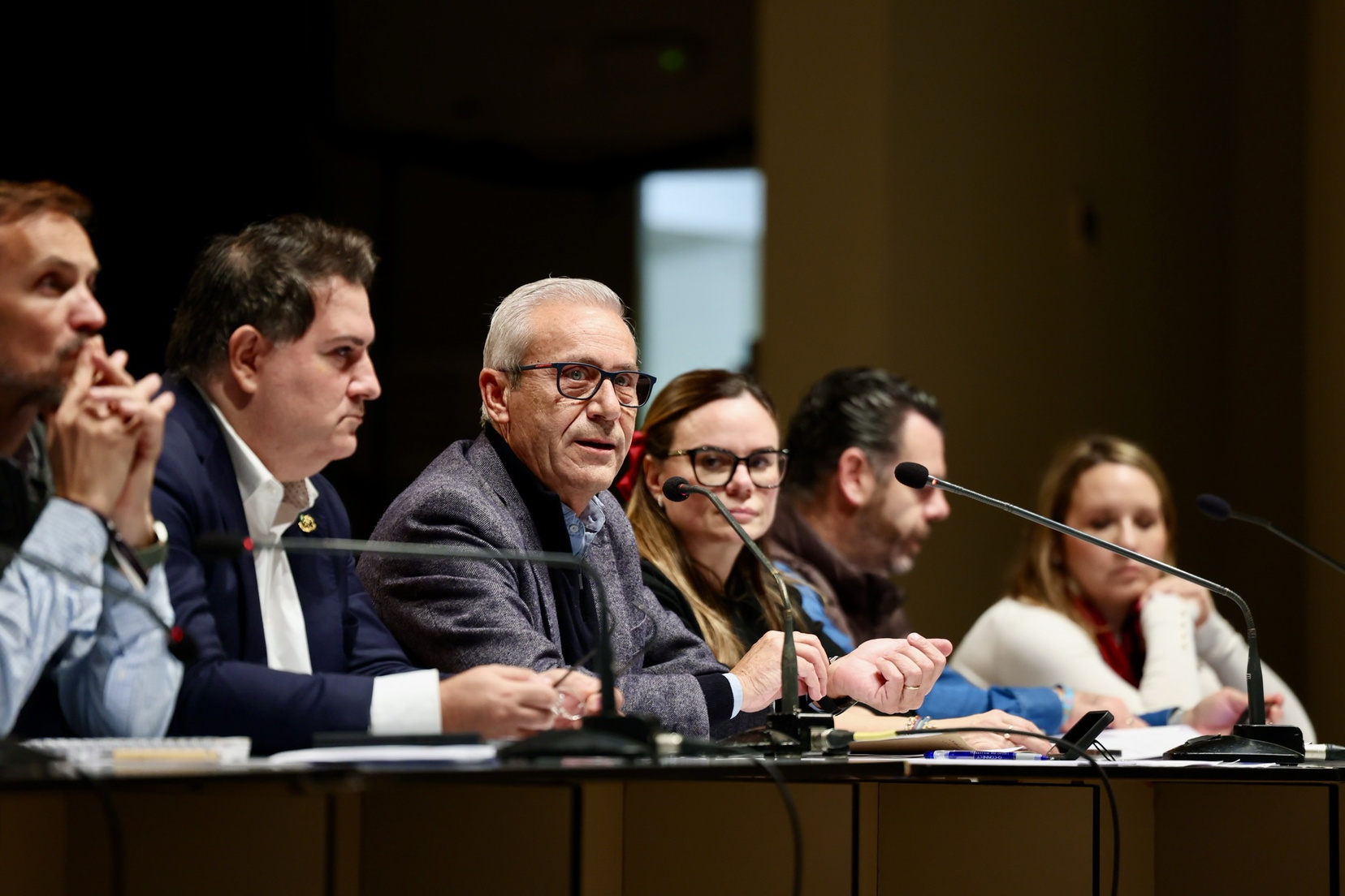 asamblea Programa Fallas