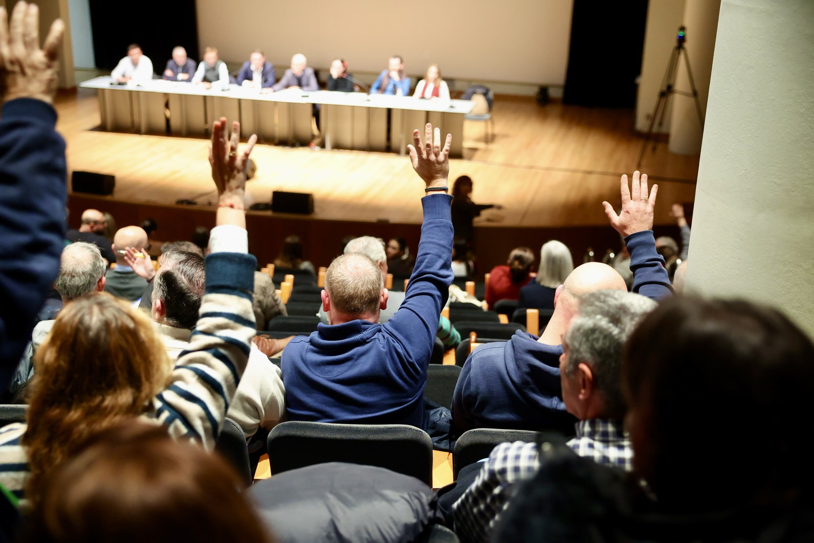 asamblea Programa Fallas