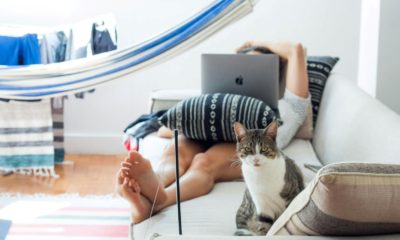 ¿Por qué Valencia se está convirtiendo en el principal destino para los nómadas digitales?