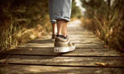 hábitos diarios pueden alargar vida