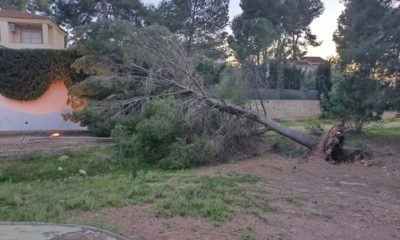 el tiempo en valencia