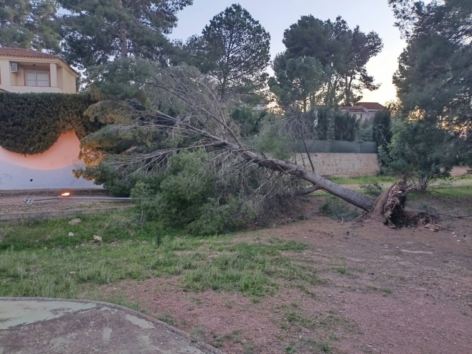 el tiempo en valencia