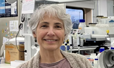 Un fármaco del colesterol frena el envejecimiento