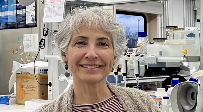 Un fármaco del colesterol frena el envejecimiento