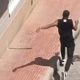 Detenido en Torrevieja por presuntamente matar a golpes a un gato de su expareja