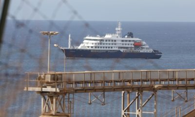 crucero hantavirus