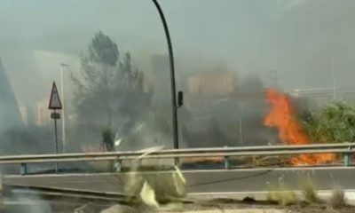 incendio Ciudad Artes y Ciencias València