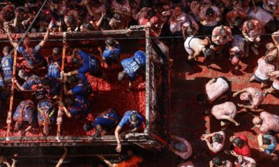 tomatina 2026
