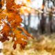 Qué día empieza el otoño