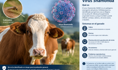 virus Shamonda